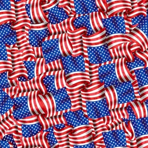 EE Schenck Stars & Stripes Forever SEF5829-78 Packed Flags Multi