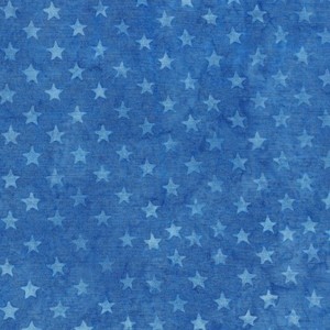 EE Schenck Freedom II ISB122046530 Stars