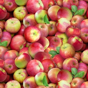 EE Schenck Food Festival ELS641-MUL	Apples