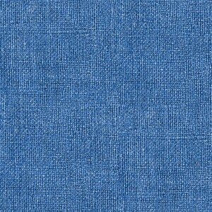 EE Schenck BURLAP PRINT BEN0075757B - BRIGHT -  Blue