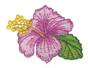 Amazing Designs ADC NZ20, Nancy Zeiman Tropical Dreams Embroidery 34 Hawaii Designs Multi-Formtted CD