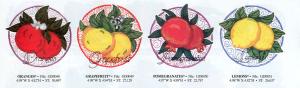 Dakota Collectibles SMX13 Fruits & Berries Large Designs Multi-Formatted CD