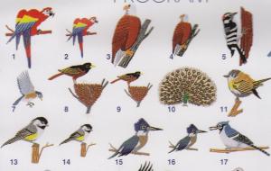 Elna MC116 Bird Designs Envision Embroidery Card SEW Format