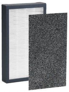 Guardian  FLT4100 HEPA Replacement Filter E  for AC4100