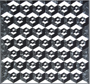 Sew Steady Westalee  Half Hexagon Illusions Pattern