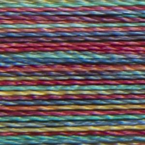 Isacord Variegated Embroidery Thread, 9916 Rainbow