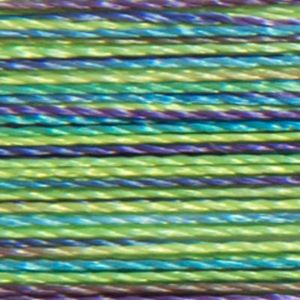 Isacord Variegated Multicolor Embroidery Thread Emerald City 2579-9971 Polyester 1000m Spool 40wt