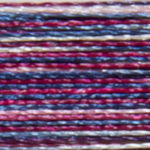 Isacord Variegated Multicolor Embroidery Thread 9918 OL Glory  2579-9918 Polyester 1000m Spool