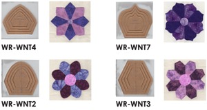 Sew Steady Westalee Dresden Toppers Templates for 8”, 10” and 16” Plates