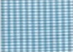 Susie's Ready to Smock Gingham Piping Turquoise S813
