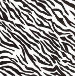 Fabric Finder 999 Zebra Print 15 Yd Bolt 9.34 A Yd 100% Pima Cotton Fabric